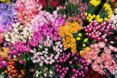 肉鸽RPG《魔卡地下城》4月27日登陆PC 主机稍后发售